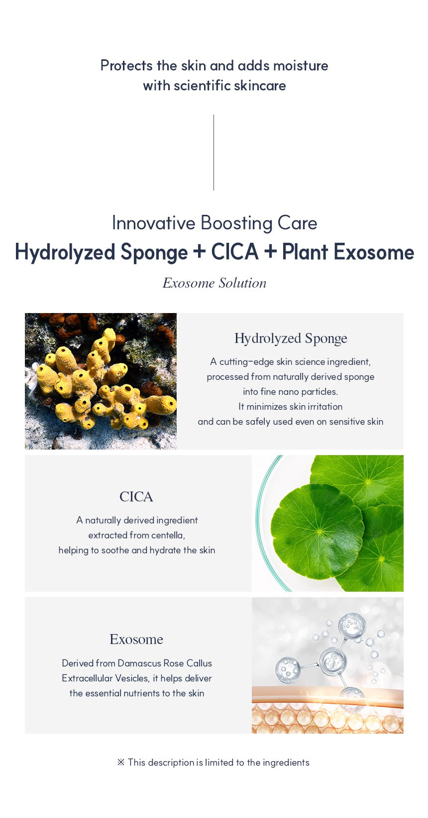 Exoblanc Spicule Cream